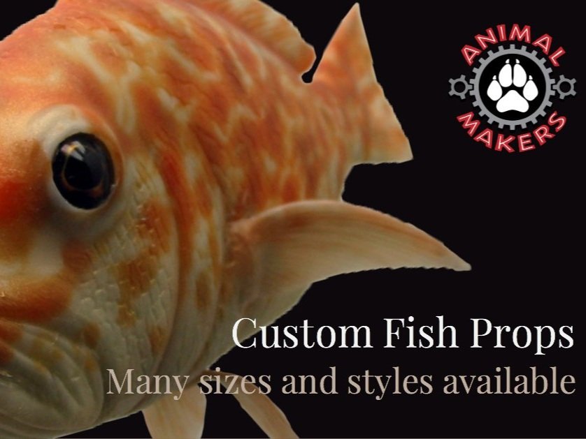 fish-props-horiz.jpg