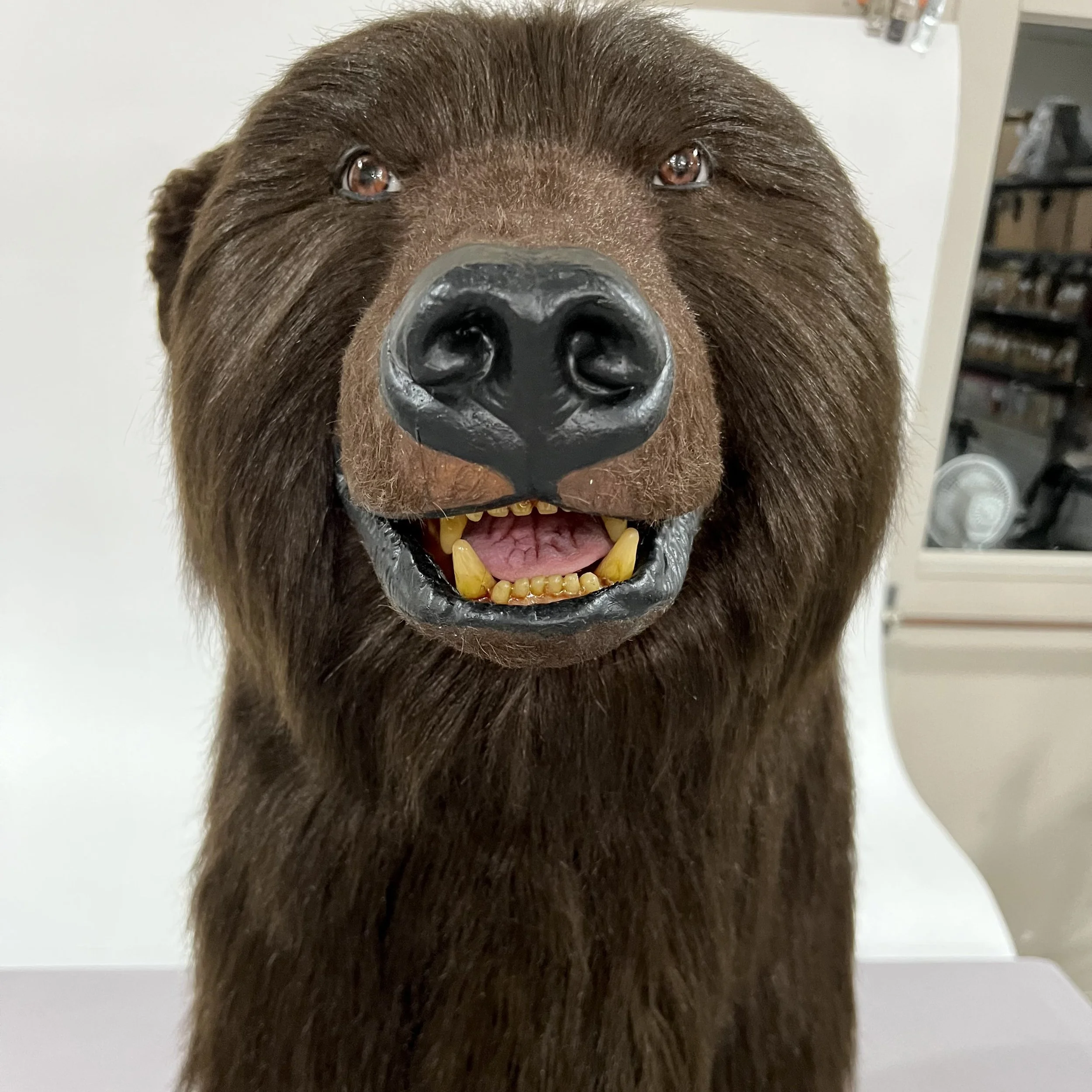 Here's one version of furring the fake bear heads with fun fur