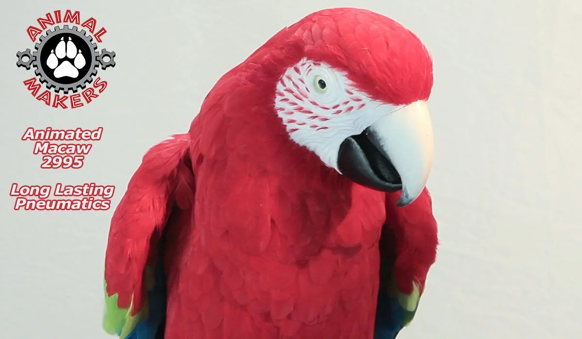 macaw-2995-14.jpg