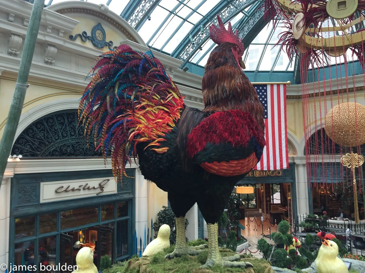 ROOSTER - CHINESE NEW YEAR