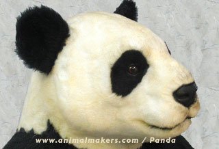 panda-5575-02.jpg