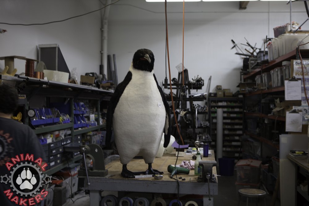 penguin-prep-9934.jpg