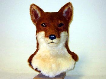 fox-2711-01.jpg