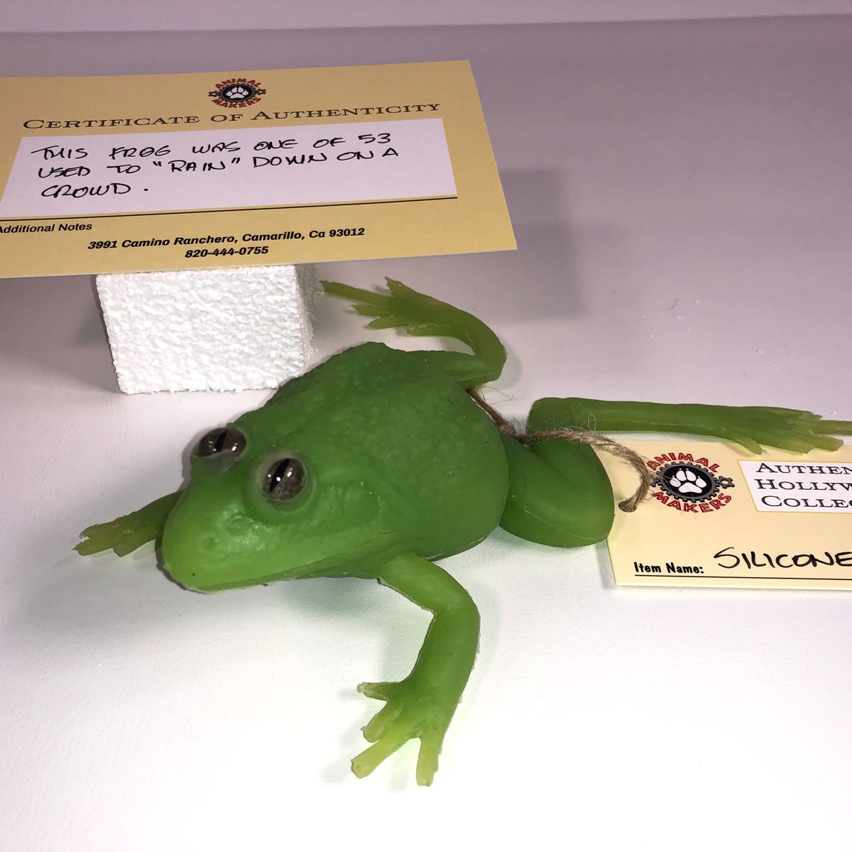 frog-1840-front.jpg