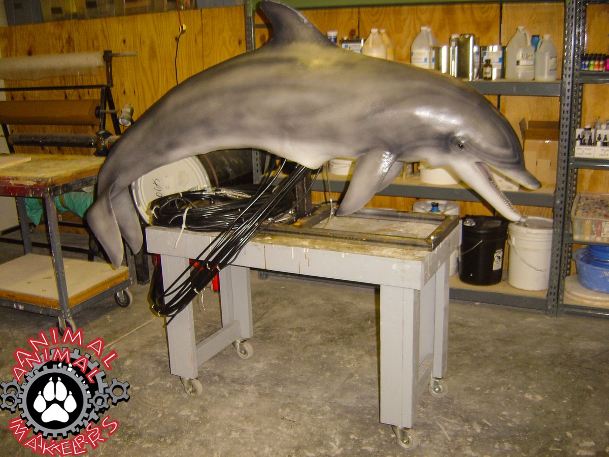 dolphin-animated-3252a-3.jpg