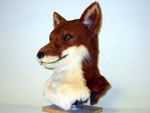 fox-2711-04.jpg