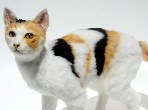 Domestic Cat Replica