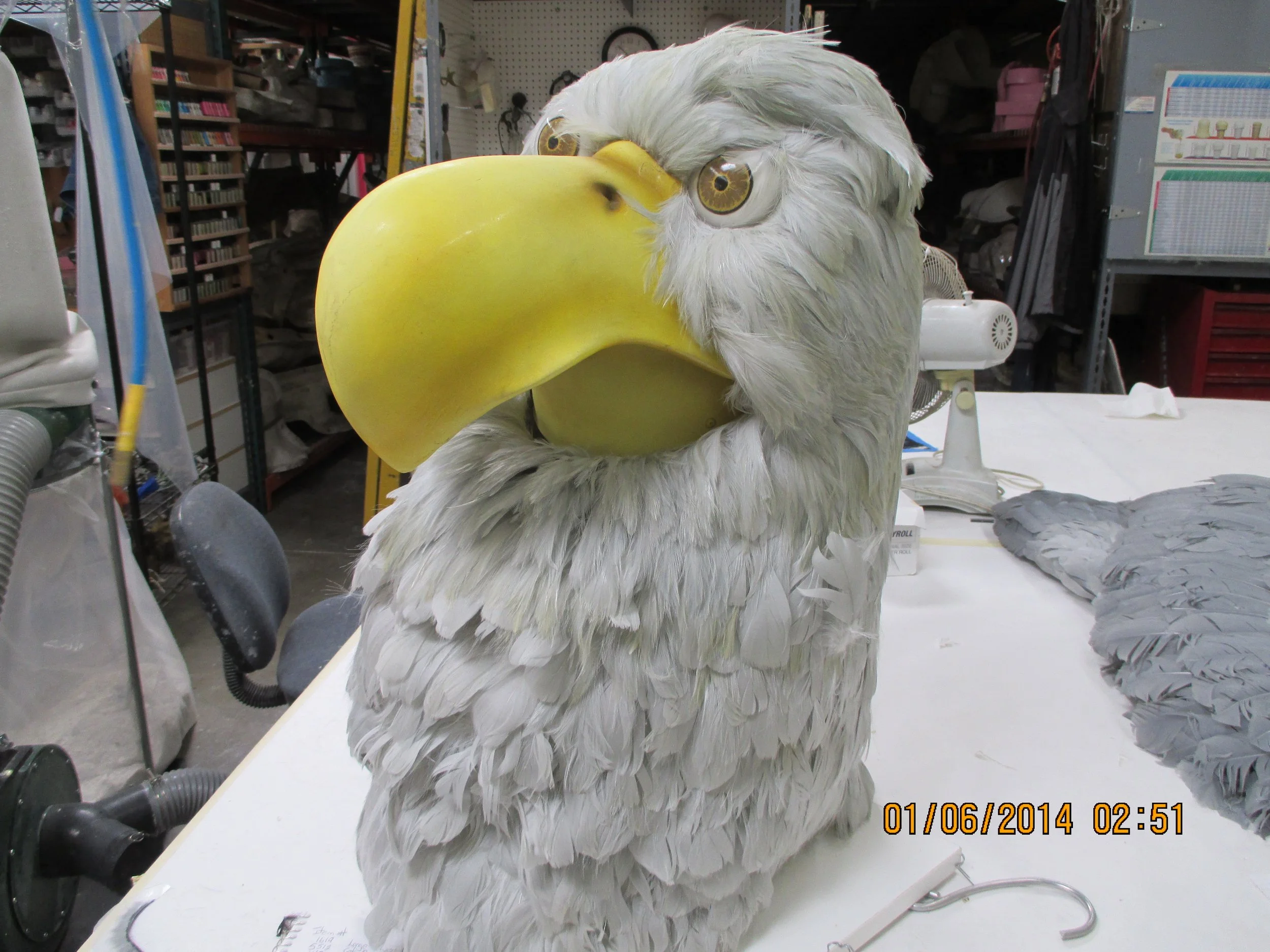 6002 eagle suit head.JPG