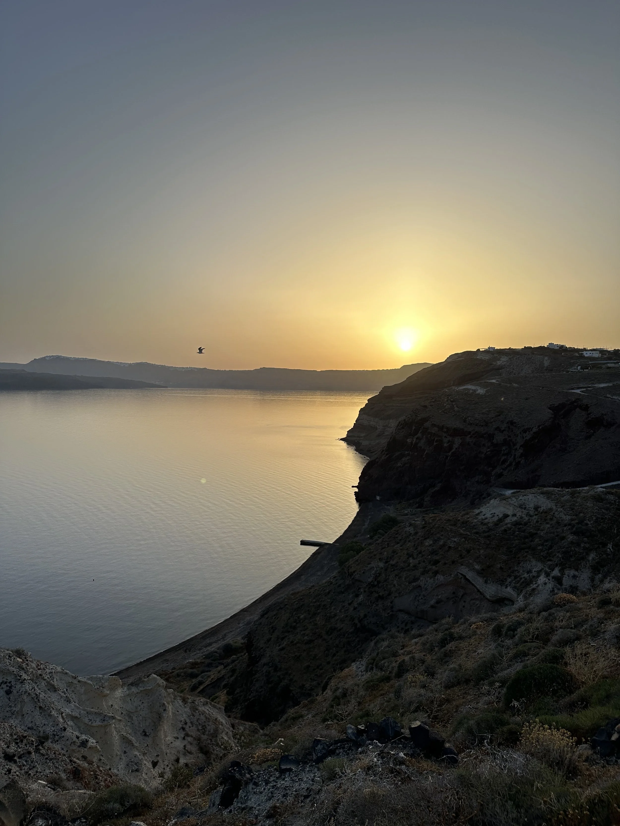 IMG_4547 - Connor Crowe.jpeg