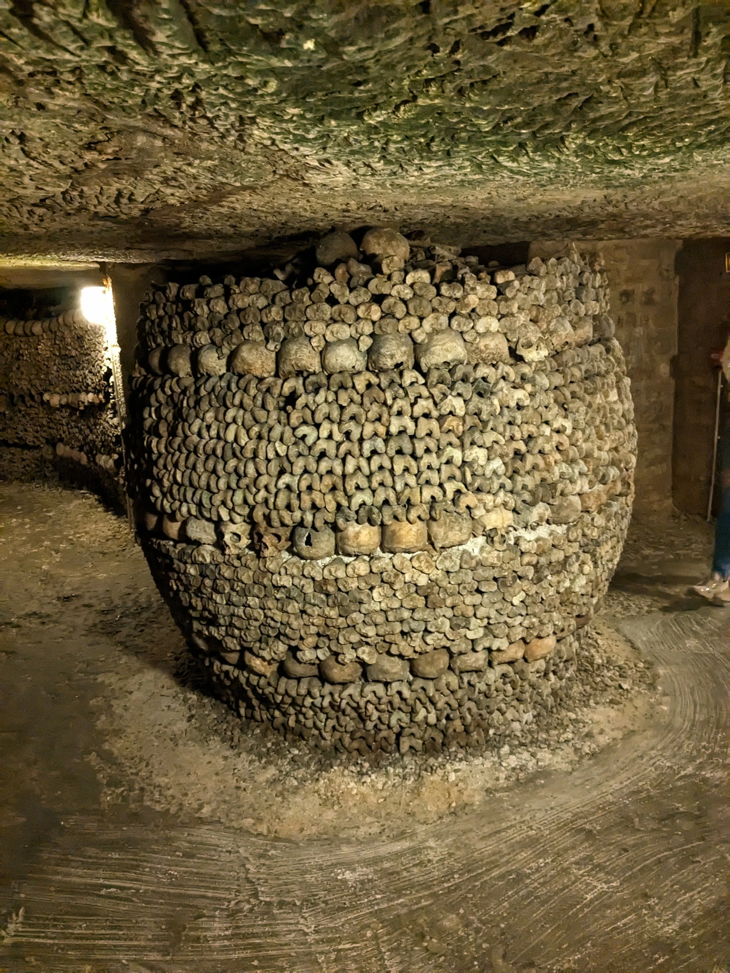 PXL_20230928_172250261_Original - Ben Martinez.jpeg