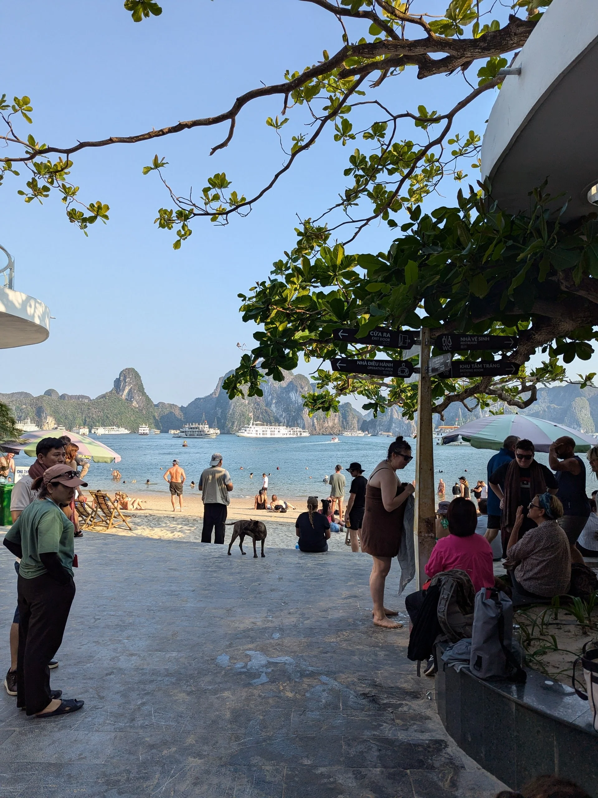 PXL_20241010_084043659.MP - Brittany Haertjens.jpg