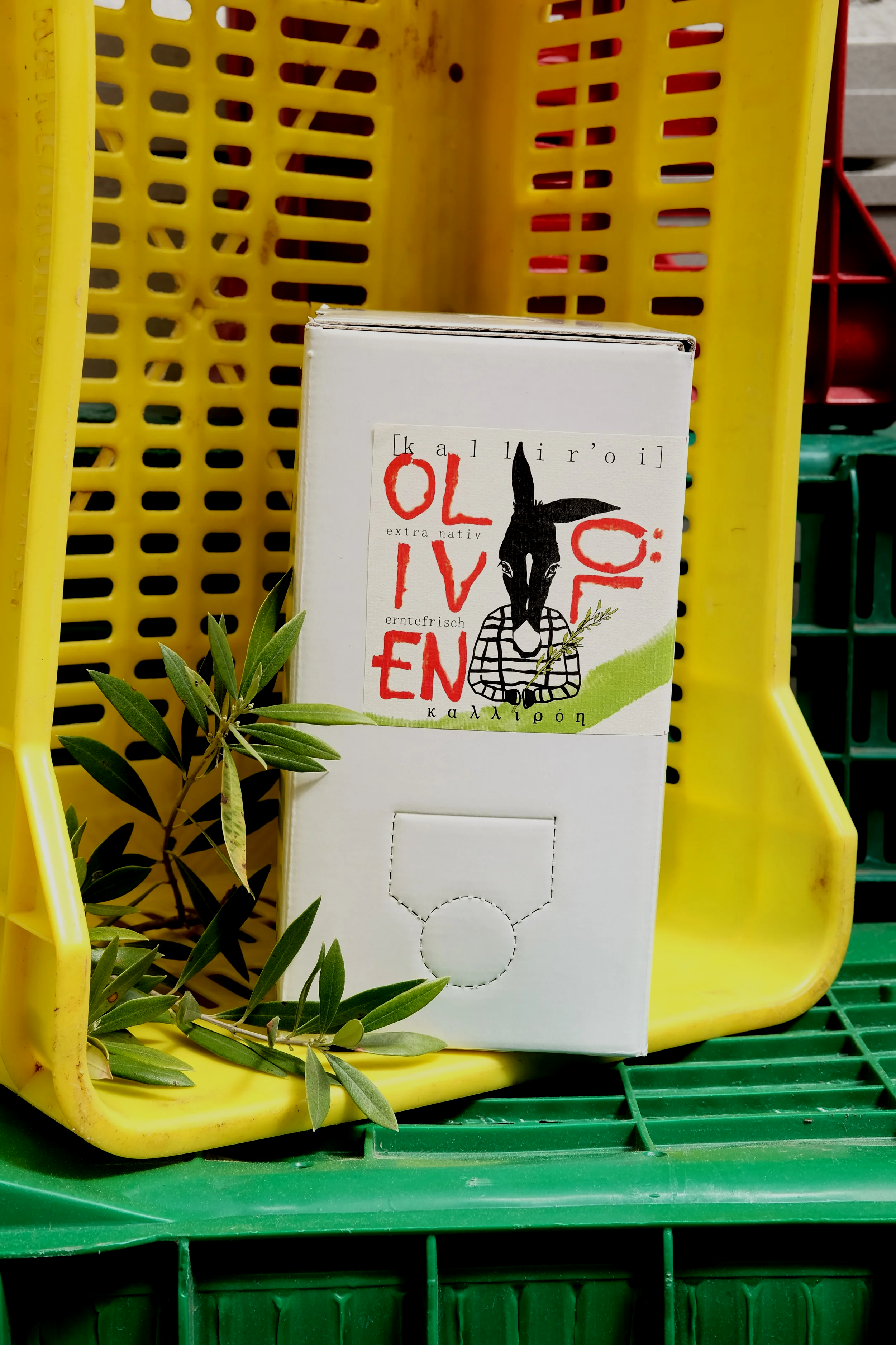 5l-Kanister Olivenöl Spetlese extra mild