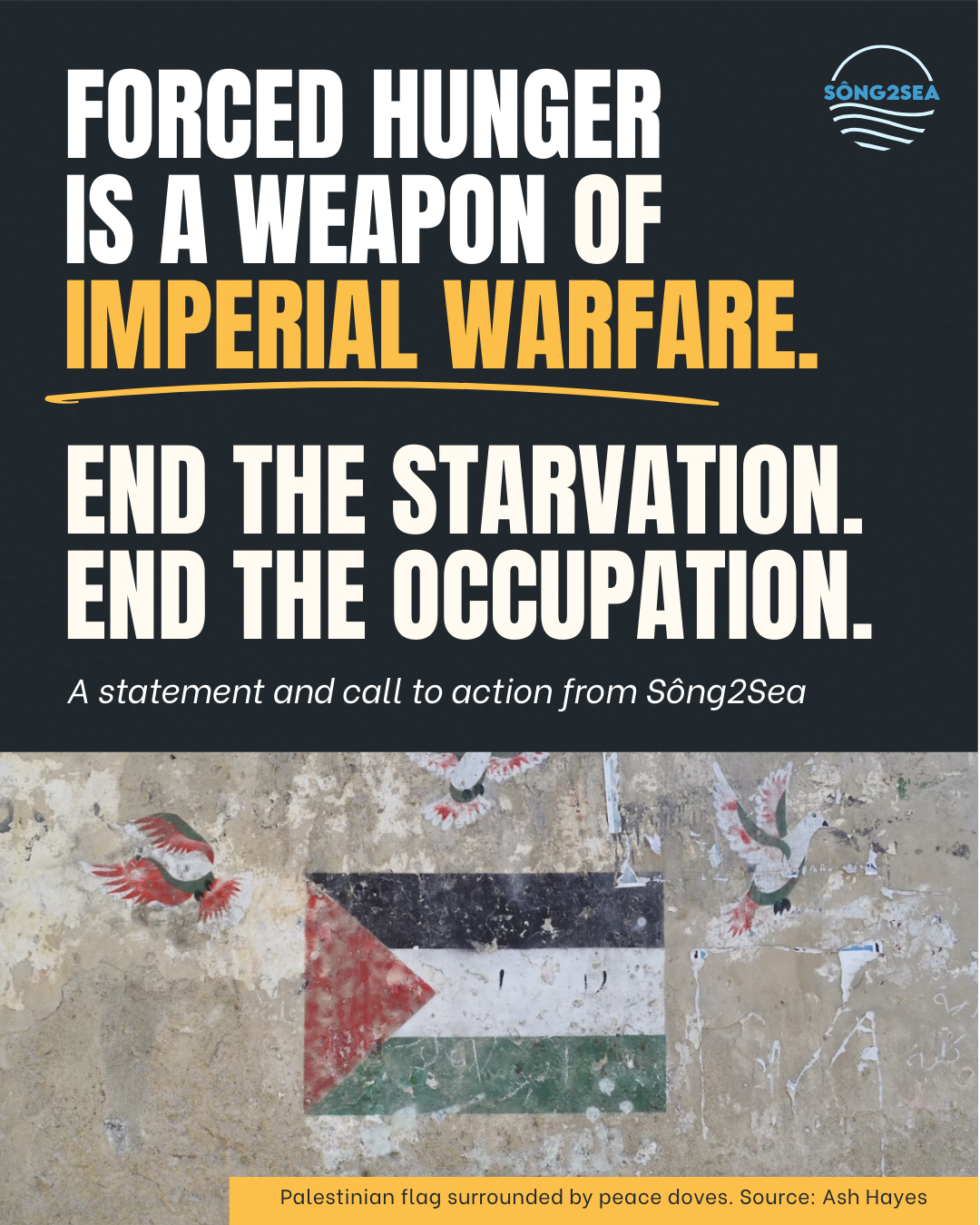 Forced Hunger Is a Weapon of Imperial Warfare. End the Starvation. End the Occupation.