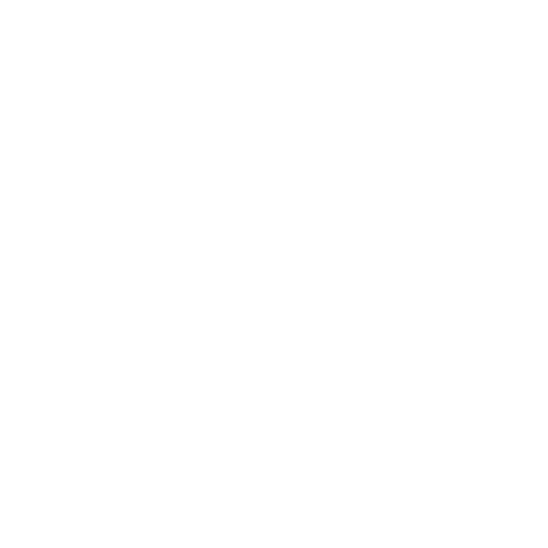 Black and white logo with fishing lures and the text 'Lightning Rod Special'