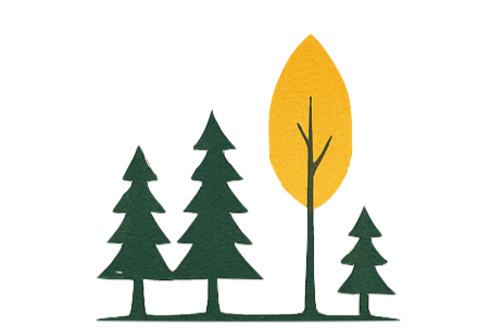 Matter Therapeutic Group