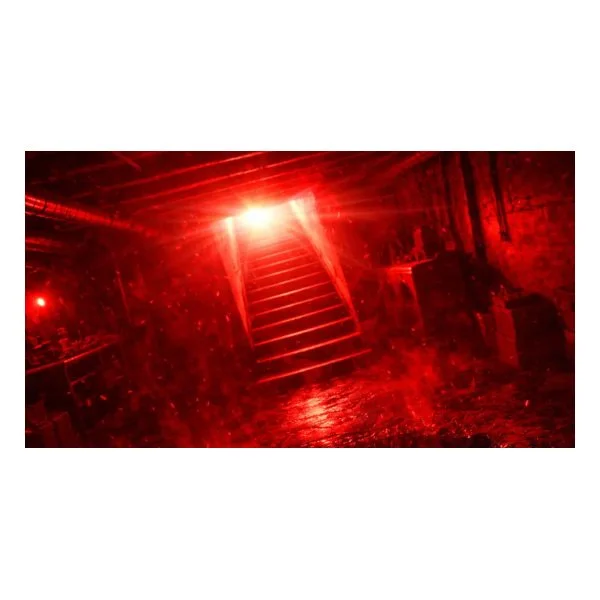 Washington Winter Home Alert: Basement Moisture Risks Rising in Seattle, Tacoma, and Spokane This January - countryherald