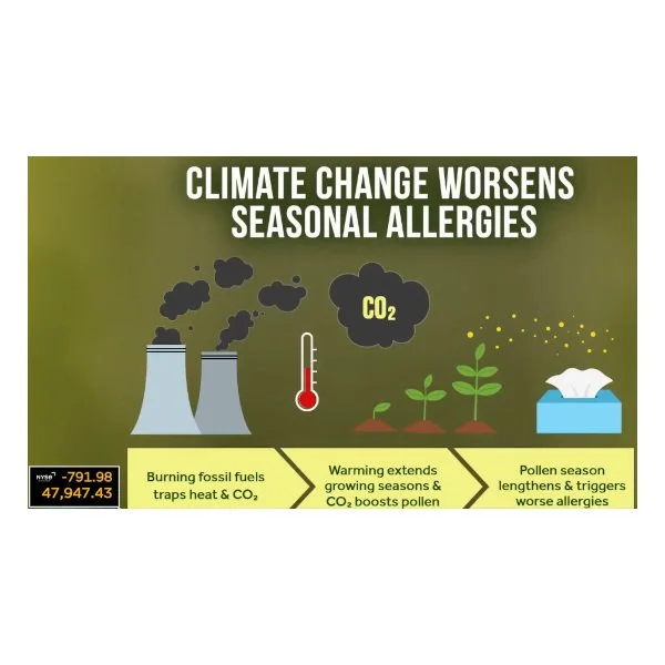 Here's how climate change extends allergy season in WA - q13