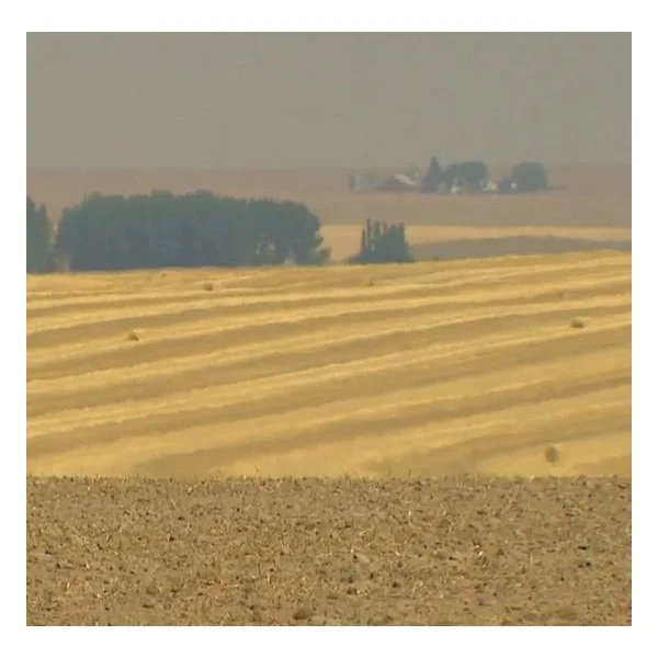 Washington declares statewide drought emergency as dismal snowpack threatens water supply - komonews