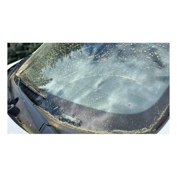 It’s not your imagination — allergy season arrived early in Western WA this year - tnt