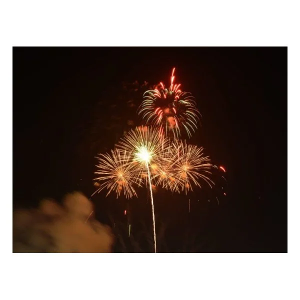 Celebrate Safely: City of Lakewood and Lakewood Police Department Remind Residents About Firework Safety - LKW