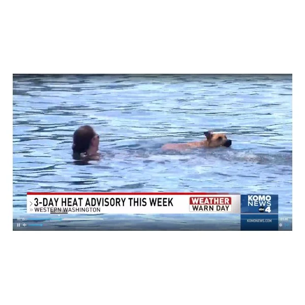 Puget Sound region braces for more record June heat; data finds many local homes lack A/C - komonews