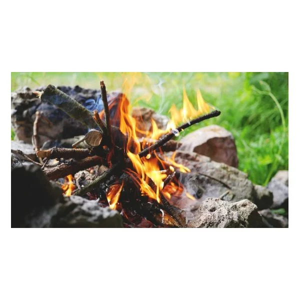 Burn bans hit 8 Western WA counties ahead of Fourth of July - myNW