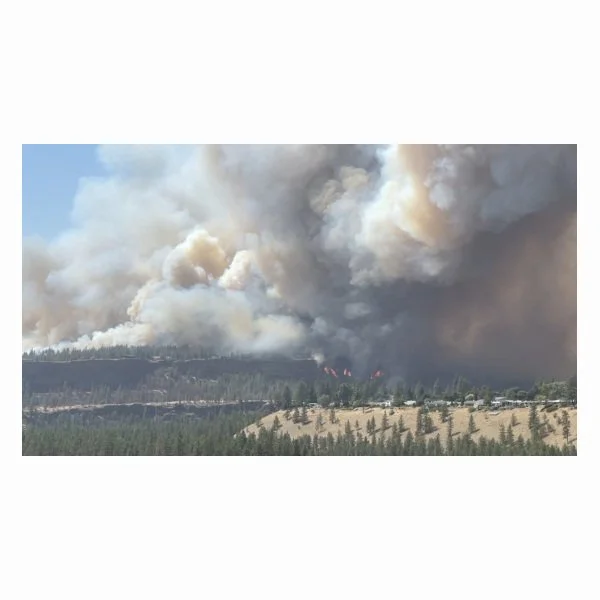 Wildfire smoke set to drift into Pierce, Thurston counties through midweek - tnt