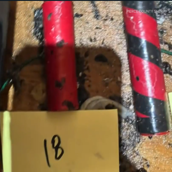 Lakewood man charged after fireworks explosion - king5