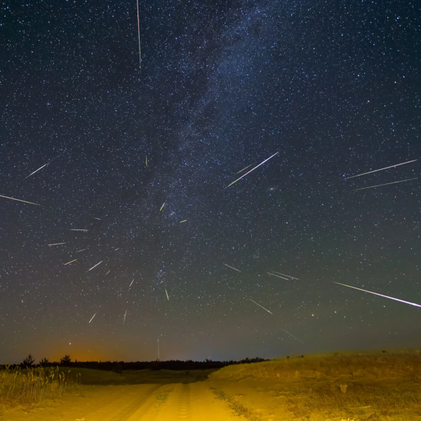 How and When to View the Perseid Meteor Shower This Week - wired