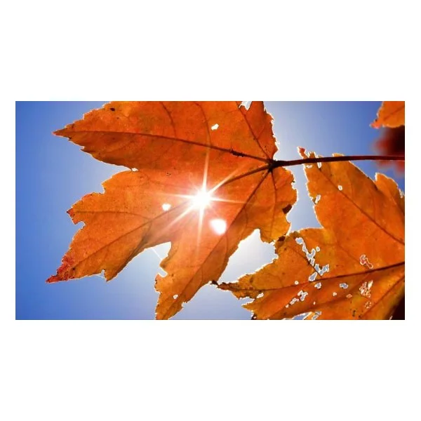 Grab a sweater! Fall weather sets in this week - myNW