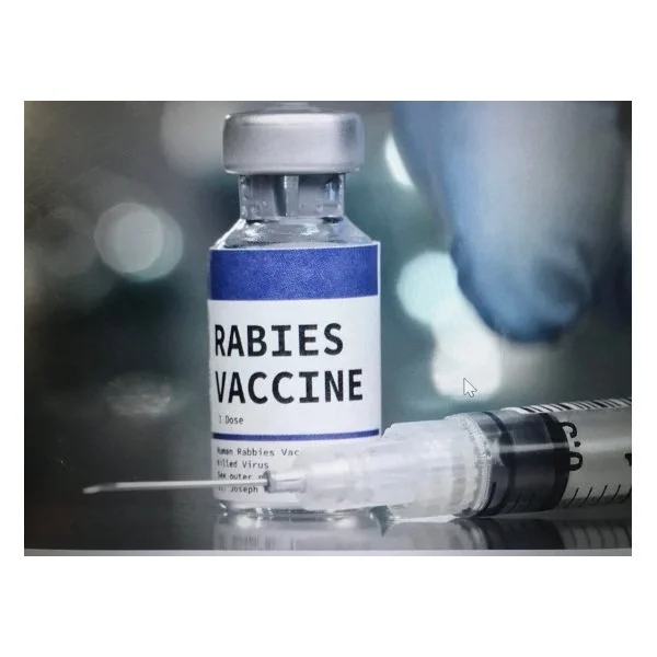 ‘Nearly 100% fatal’ disease on the rise across US. See risks in Washington state - tnt