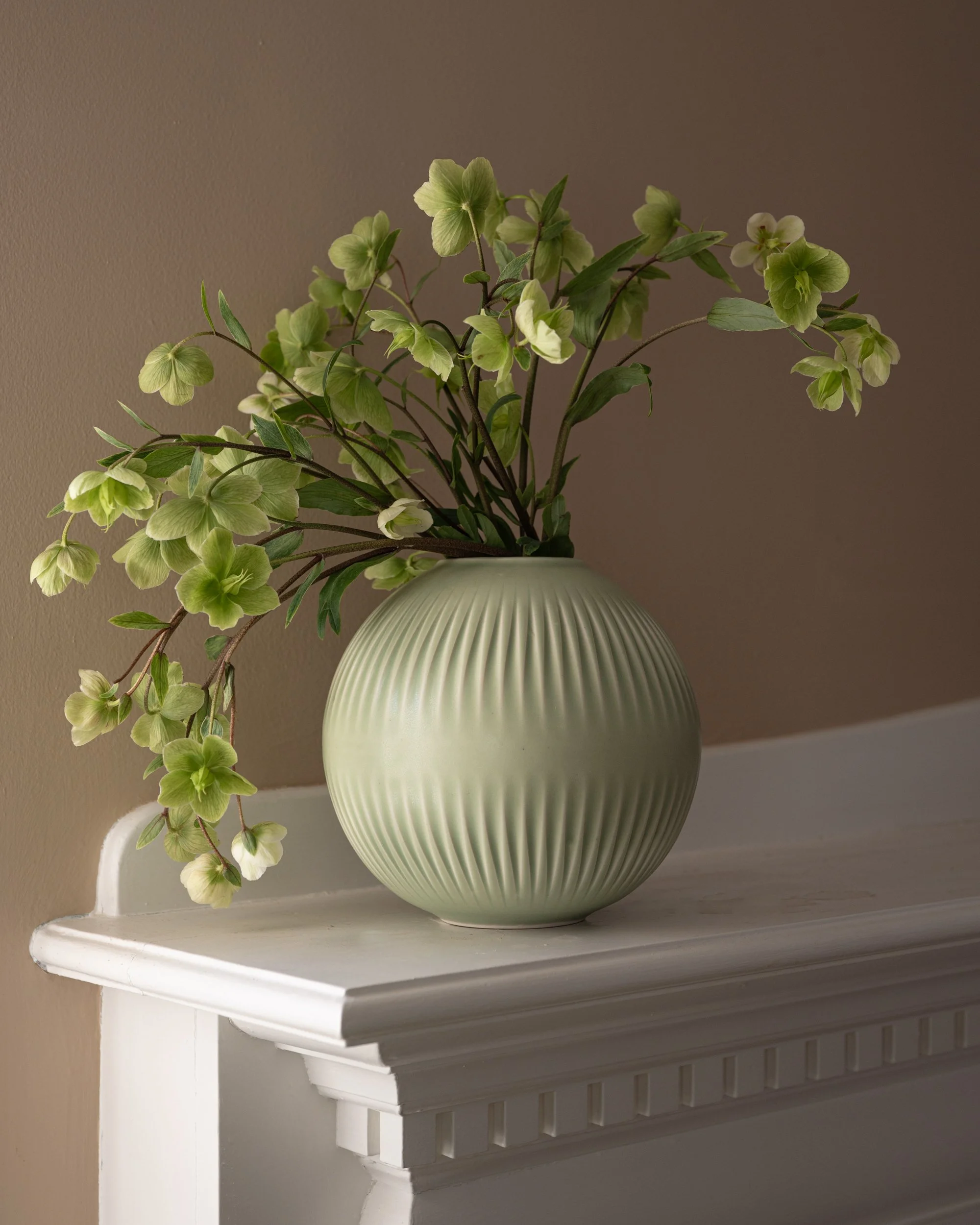 The new Moon in all her glory in our home.