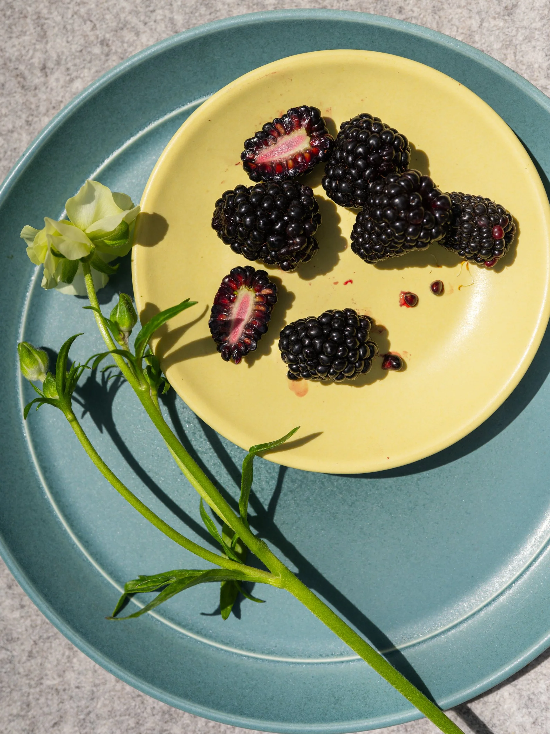 Myrth-StudioEdition-Ume-Food-37.jpg