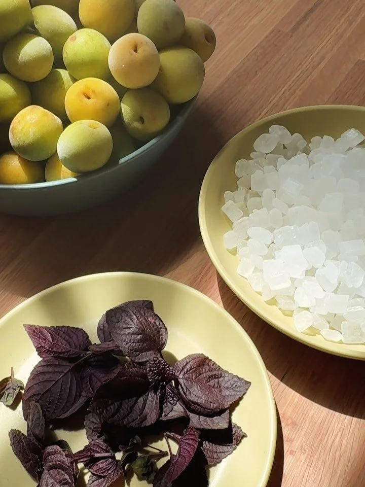 Fresh ume arrived from @nicholasfamilyproduce the day before we left for the Utility trade show in Chicago. They&rsquo;ve been waiting patiently in the fridge for a quiet Sunday morning, and this is it.

Ume are Japanese plums, harvested green and ta
