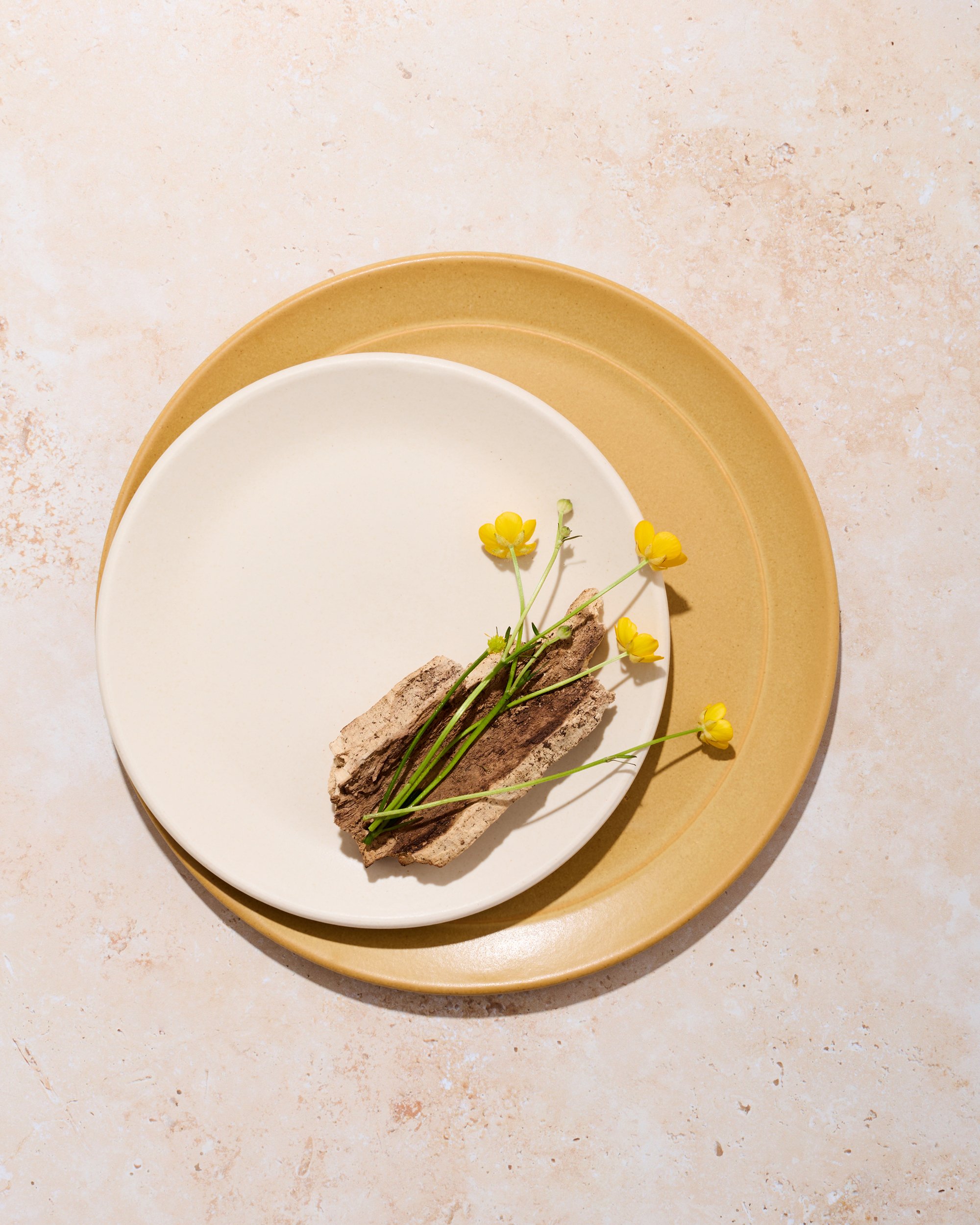 230420-Myrth-549-Final-4x5-Web.jpg