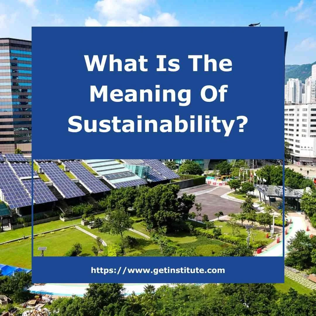 What Is The Meaning Of Sustainability?