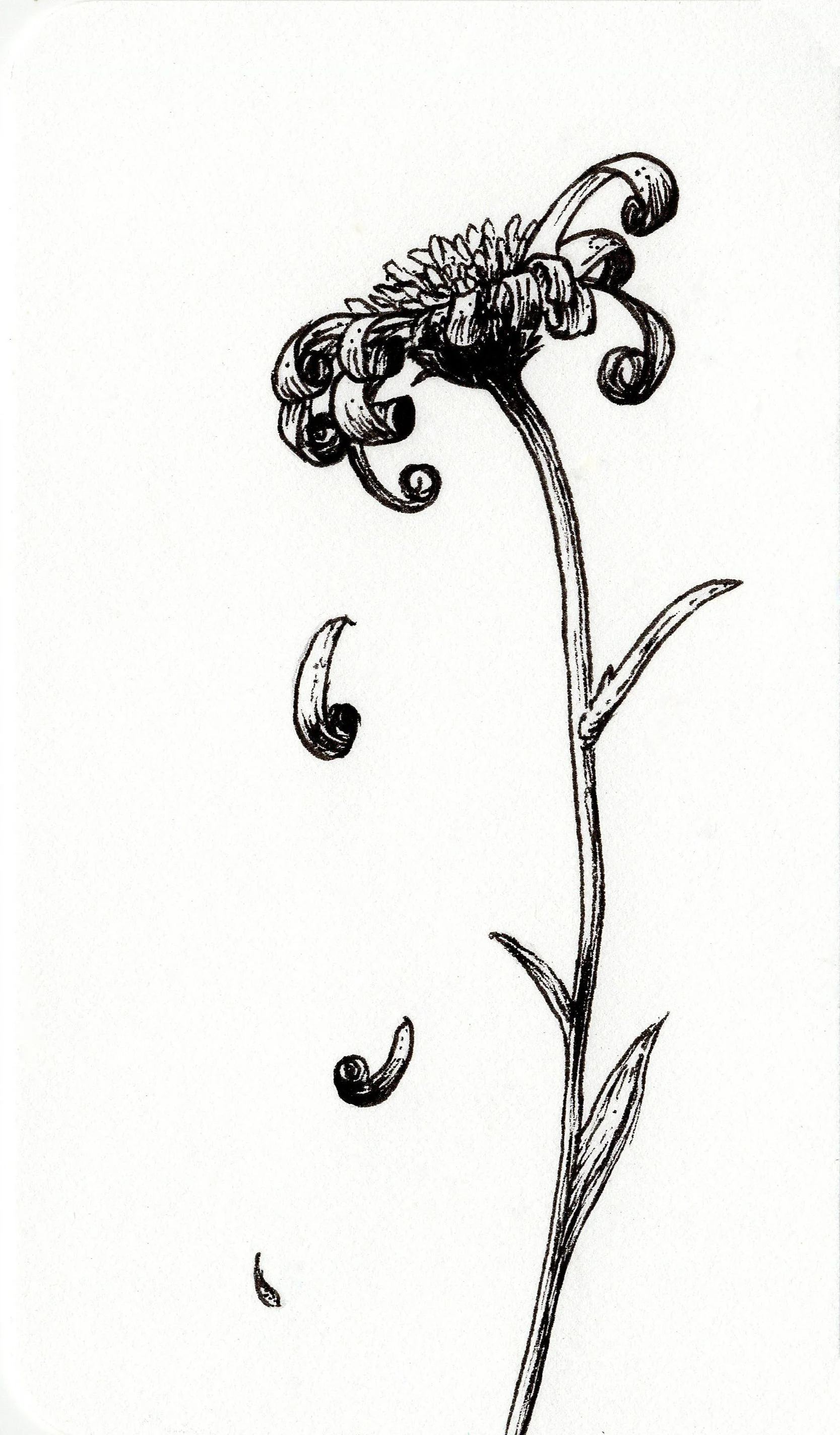 INKTOBER 2025 • Day 15 • “RAGGED”