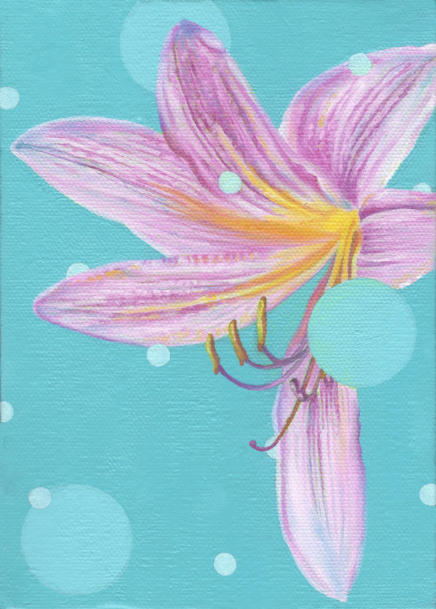 Pop Lily No. 1 • oil on canvas • 5x7” • Available (click on image for more info)