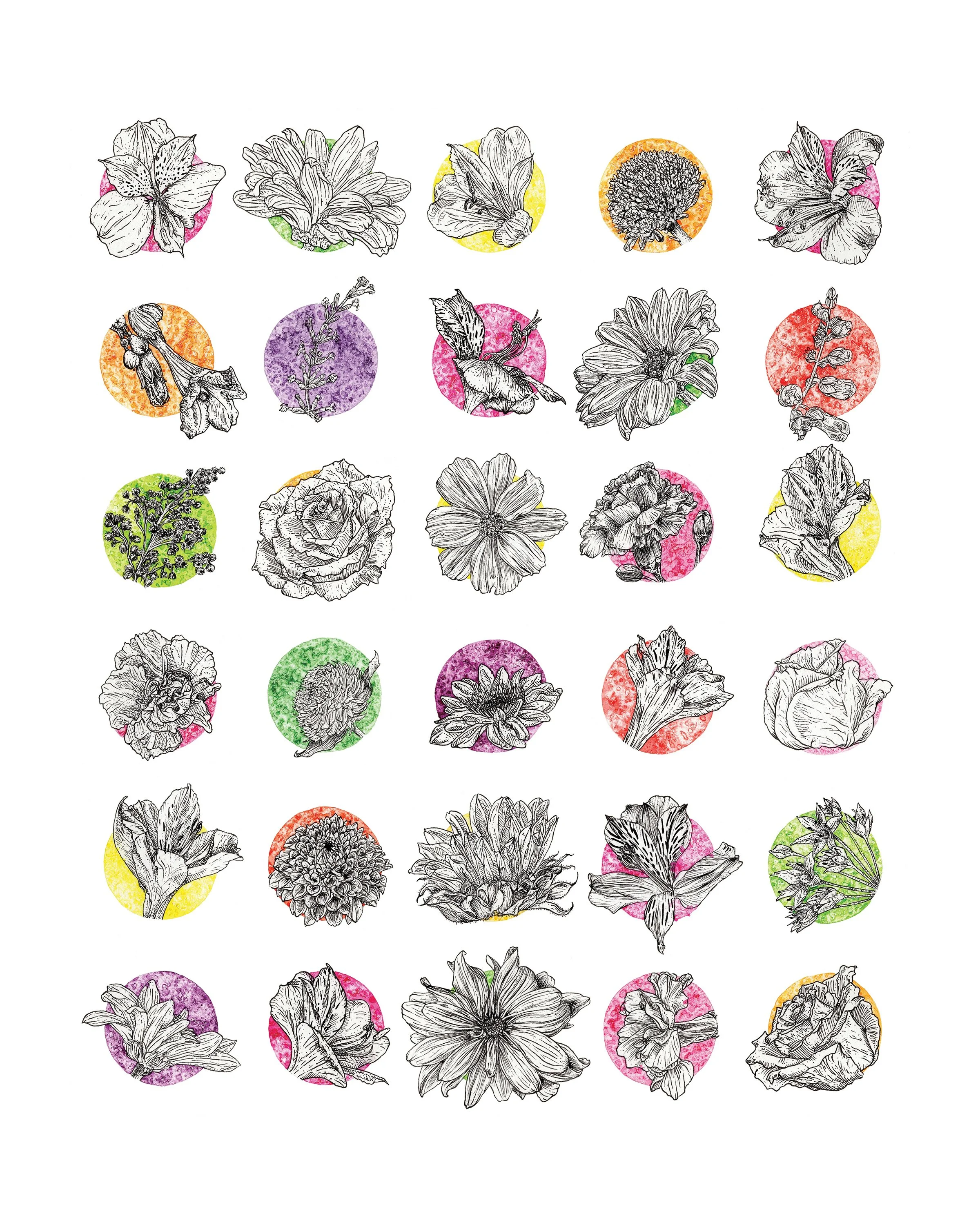 30 FLOWERS • Pigma ink marker & India ink on paper • 16.5 x 13.75” • Original & Prints Available (click on image for more info)