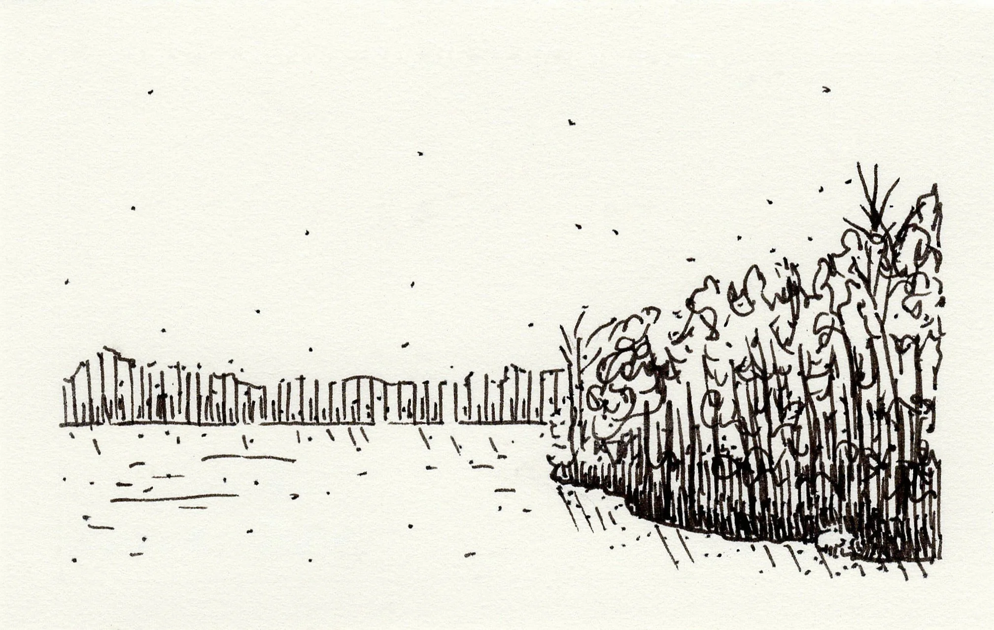 4/92 Mini Ink Drawing Series 2025 • Lyman Lake, SC • Original Available