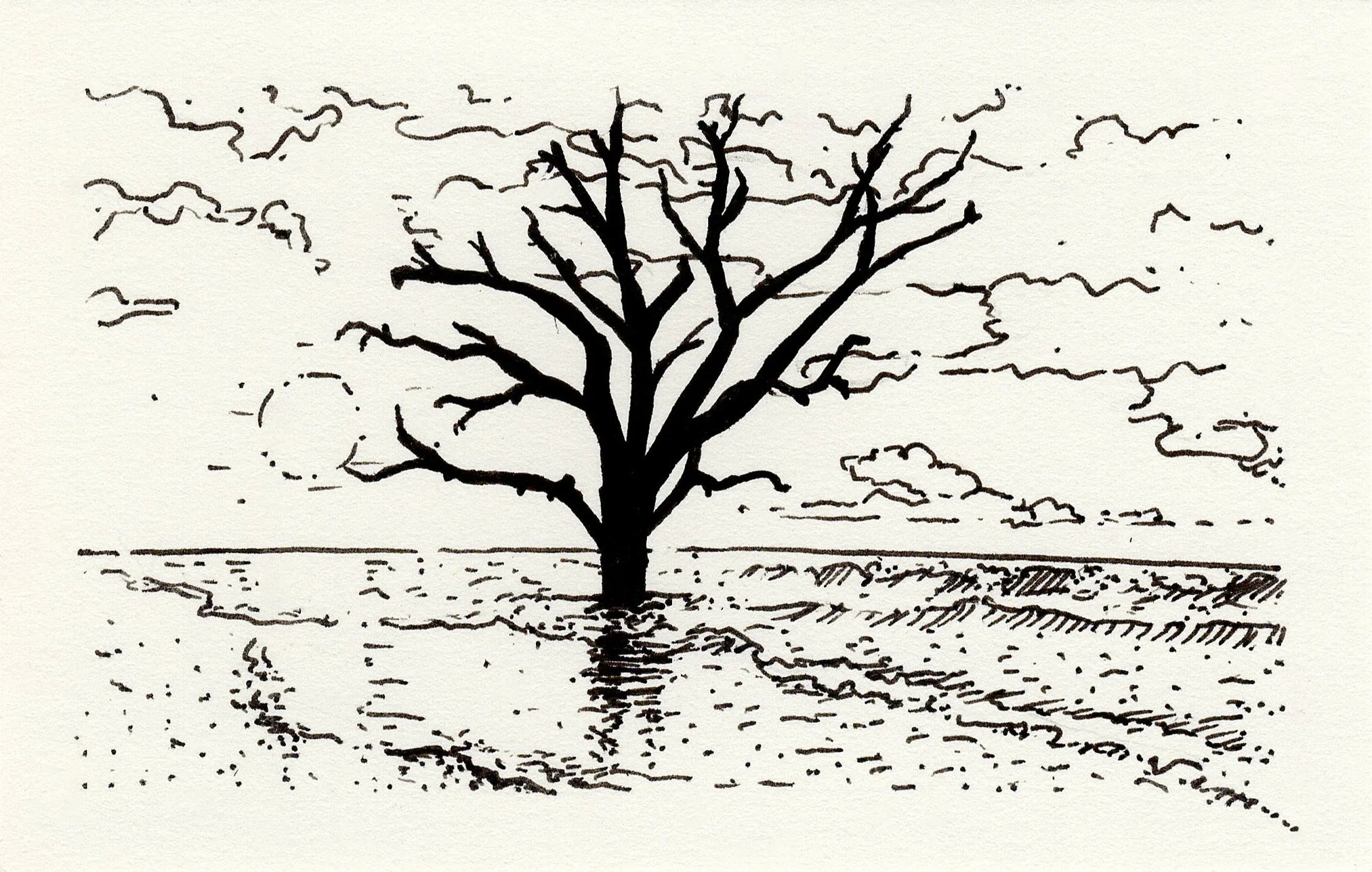 57/92 Mini Ink Drawing Series 2025 • Botany Bay Heritage Preserve / Wildlife Management Area, Edisto Island, SC • Original SOLD