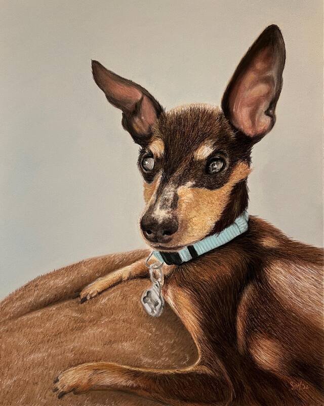 Toby • chalk pastels on paper • 16x12”