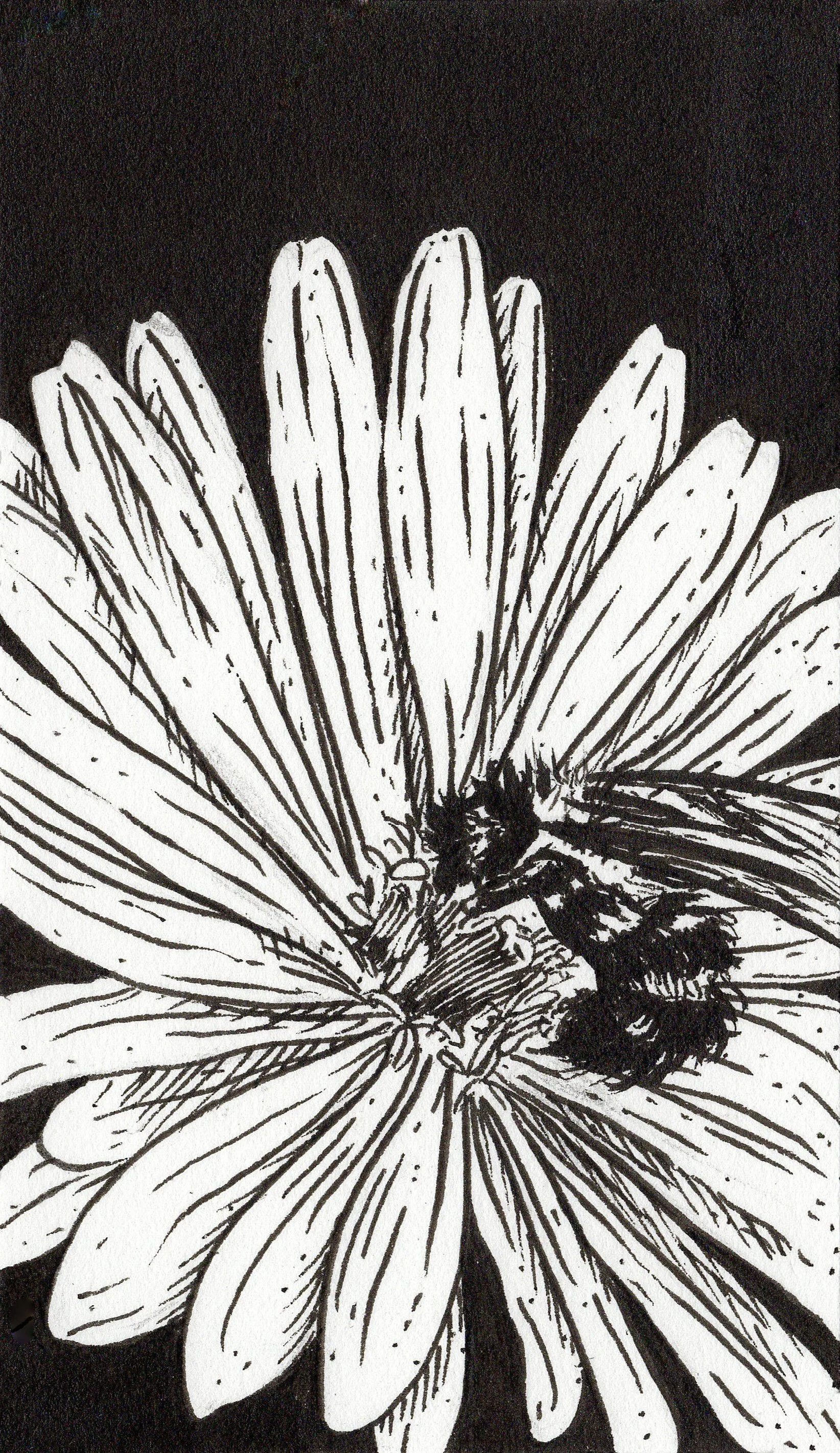 INKTOBER 2025 • Day 11 • “STING”