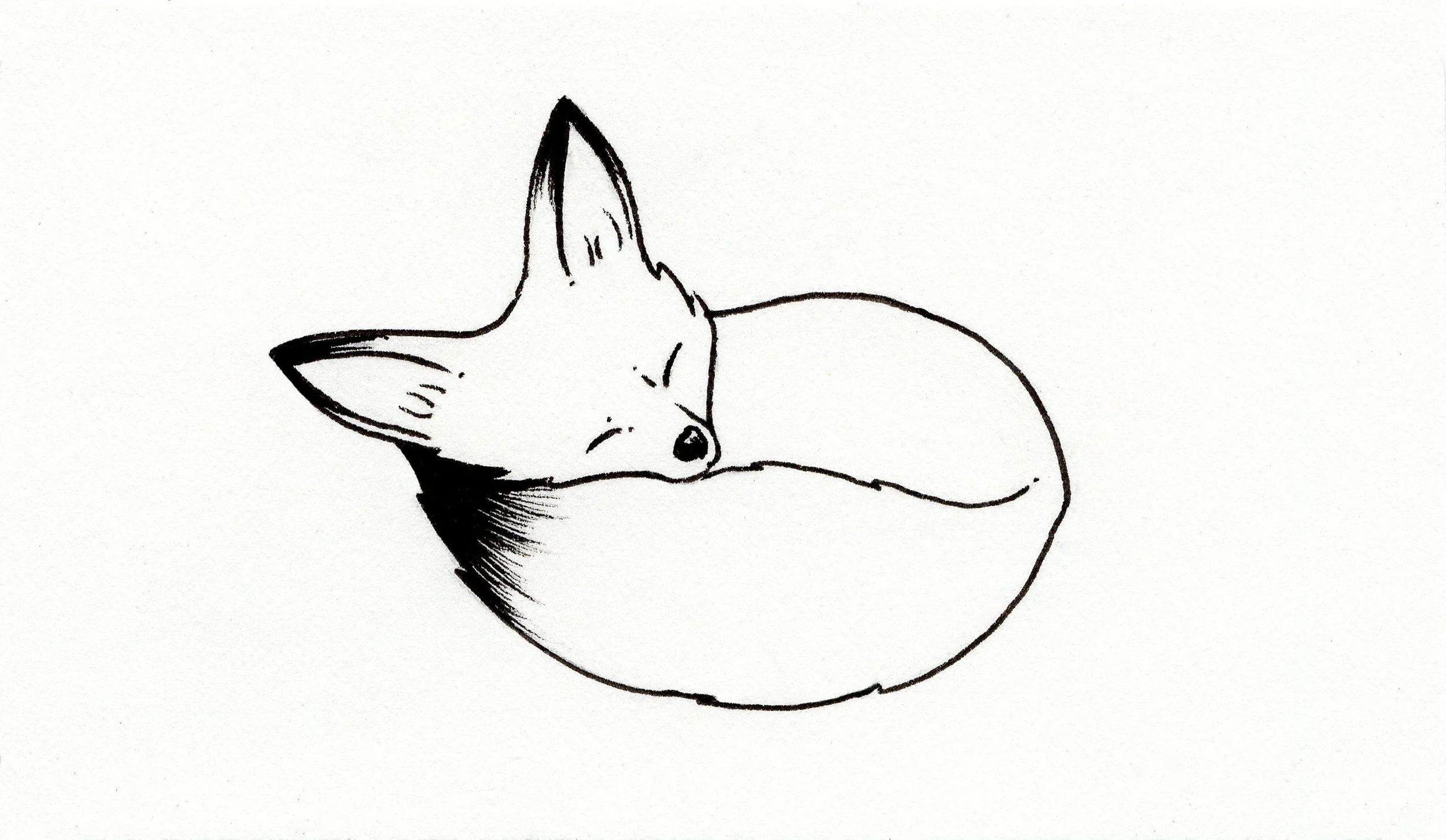 INKTOBER 2025 • Day 19 • “ARCTIC”