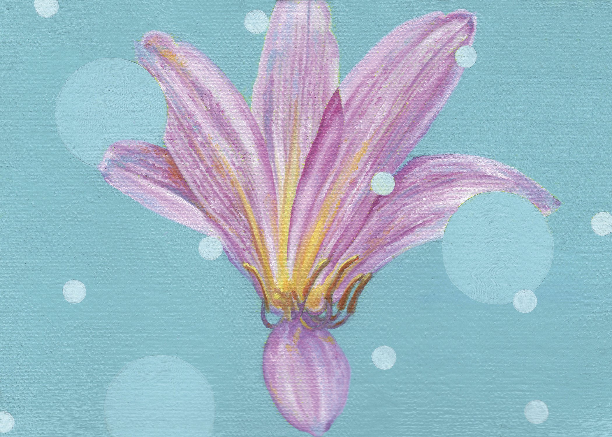 Pop Lily No. 3 • oil on canvas • 5x7” • Available (click on image for more info)
