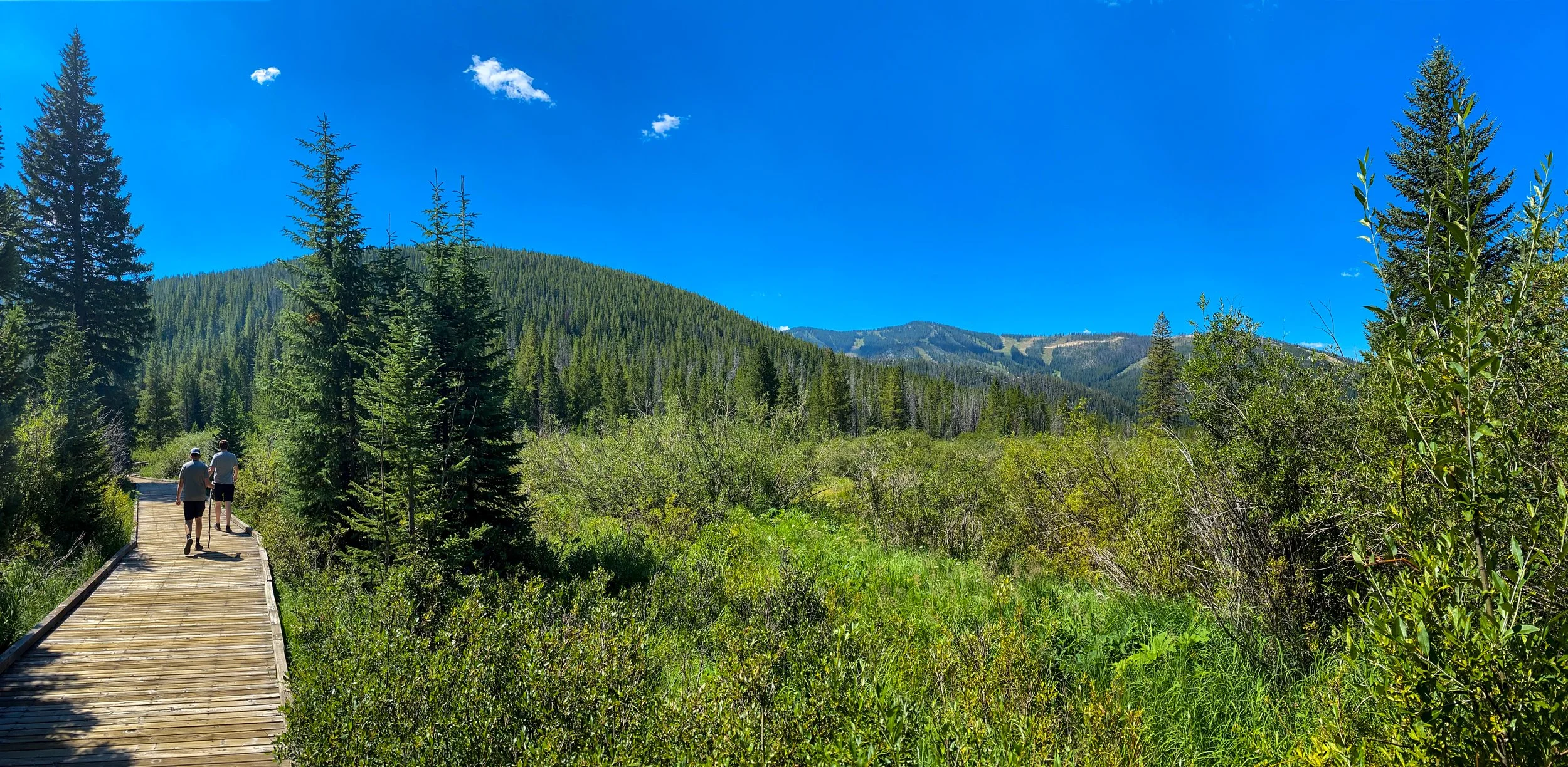 Nature Photos