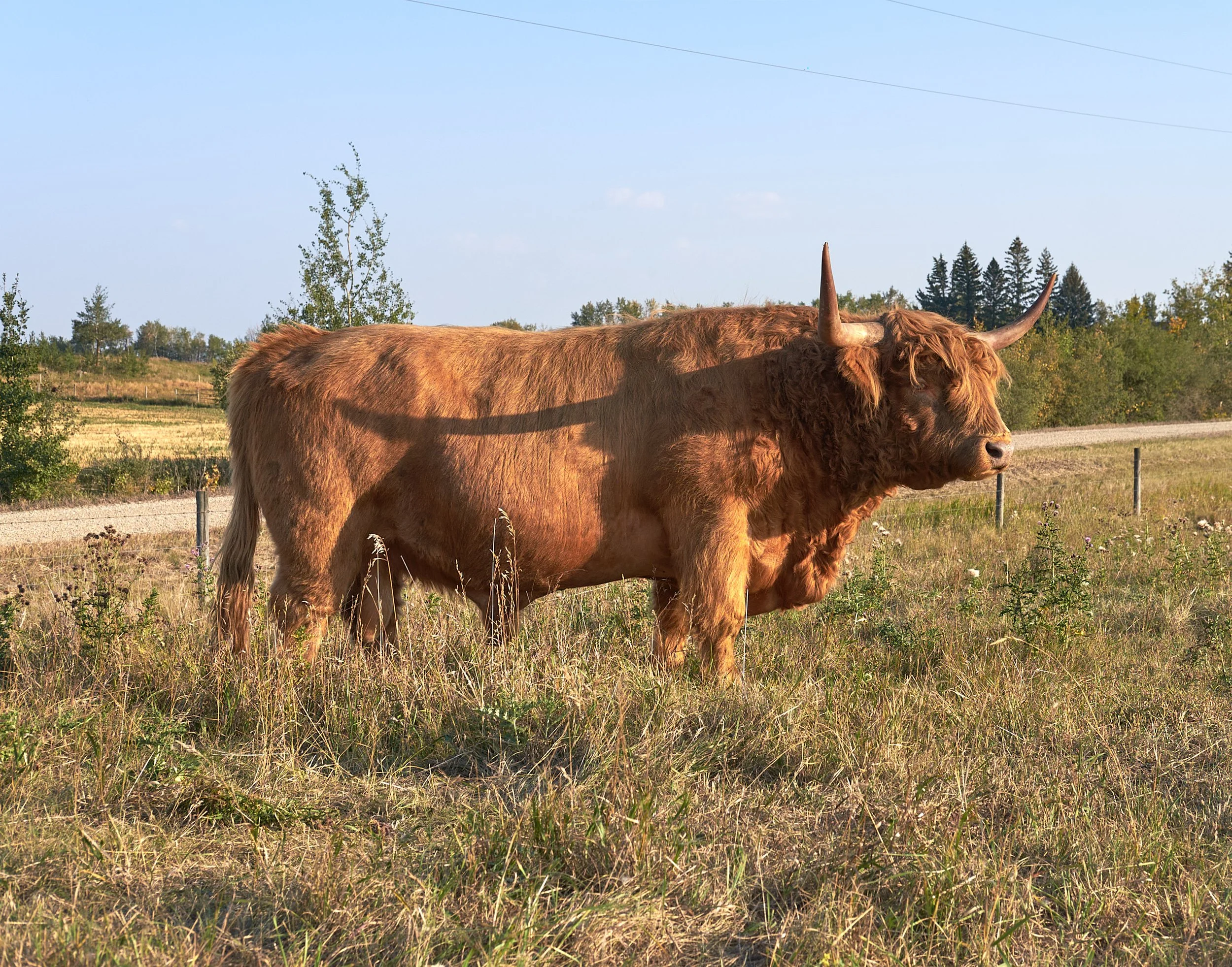 2026 Spring Sale Gordon.jpg