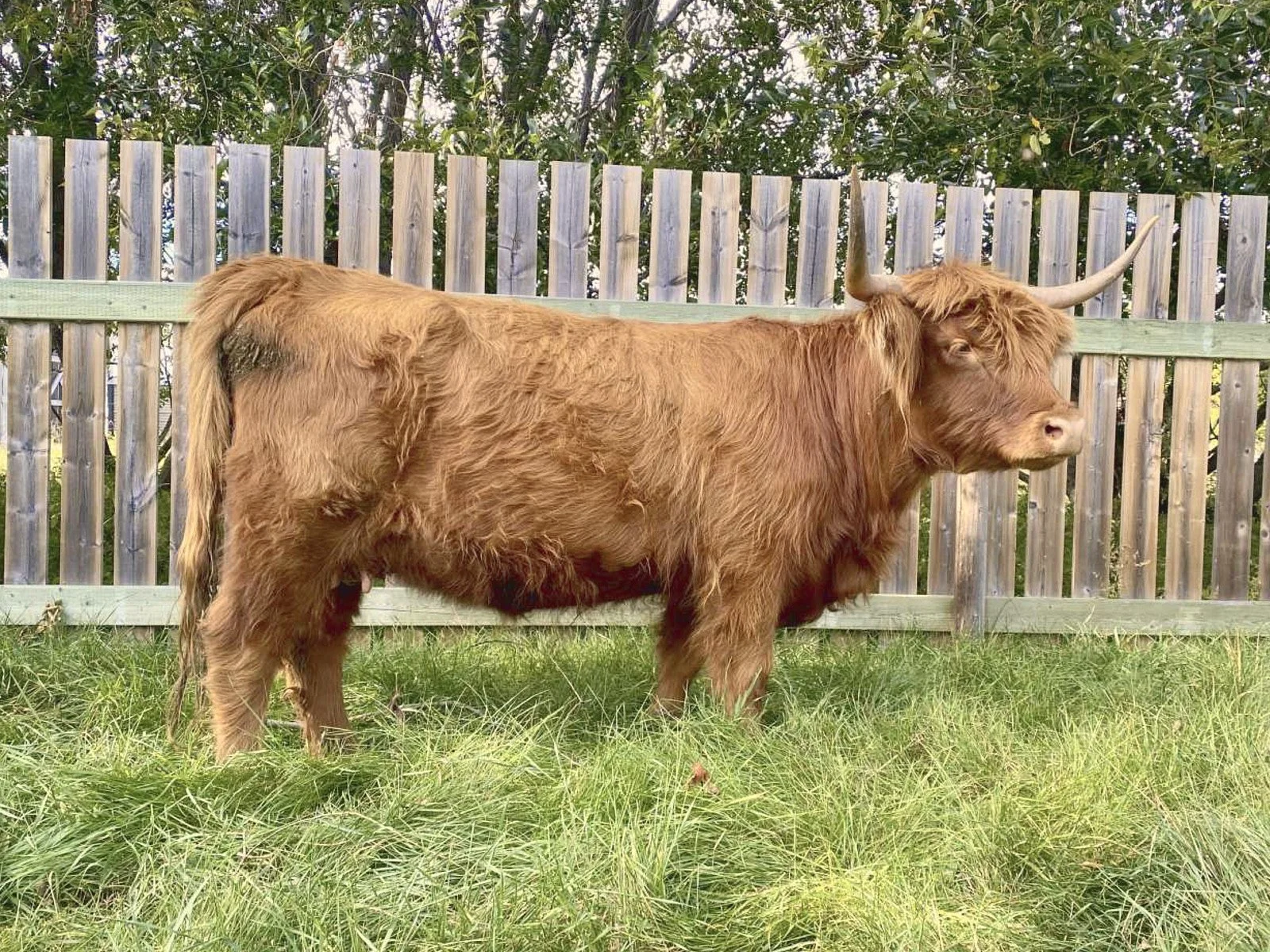 2026 Spring Sale Mellow M23 Dam.jpg