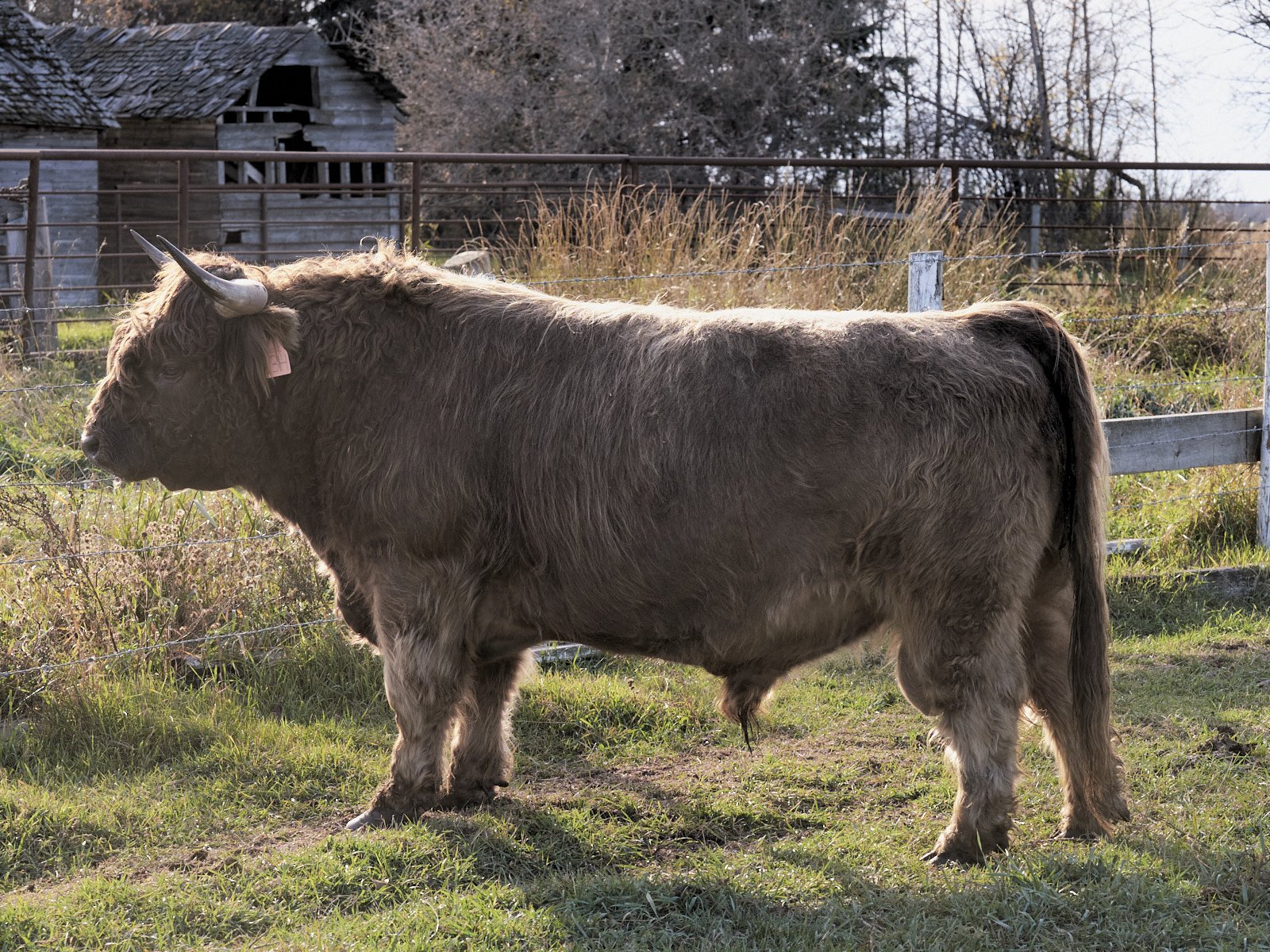 2026 Spring Sale Hamish.jpg