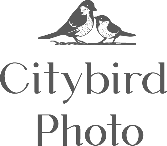 Citybird Photo